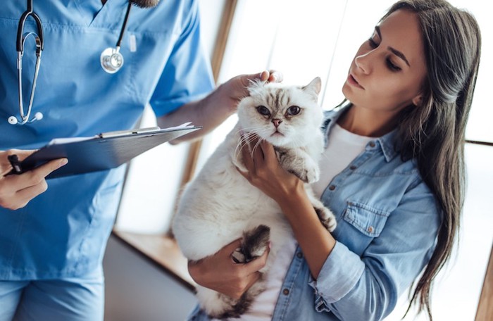 獣医師と話す猫を抱いた女性