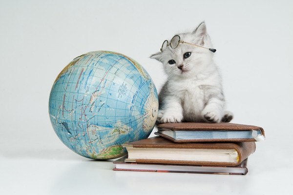 地球儀と本と猫