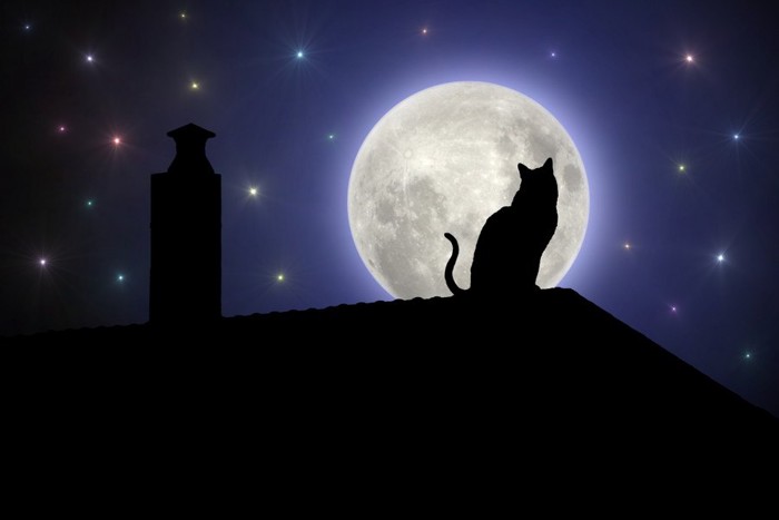 猫のシルエットと月