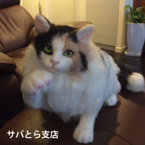 東京羊毛猫本社