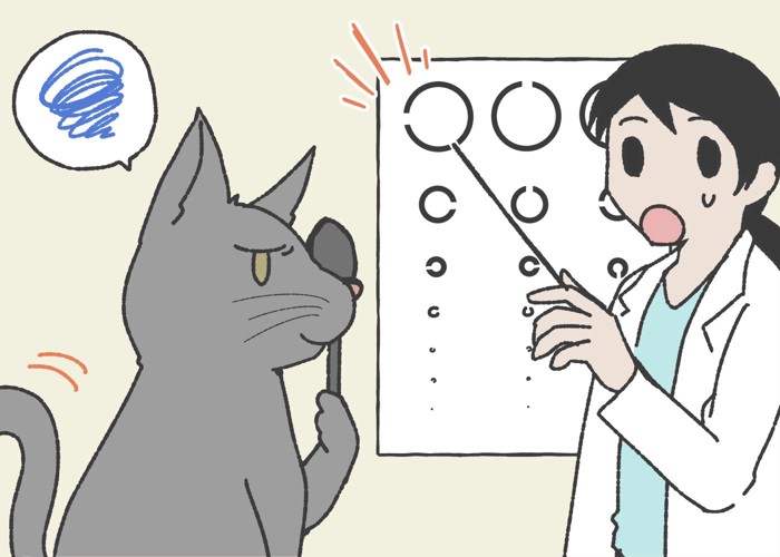 視力検査を受ける猫のイラスト