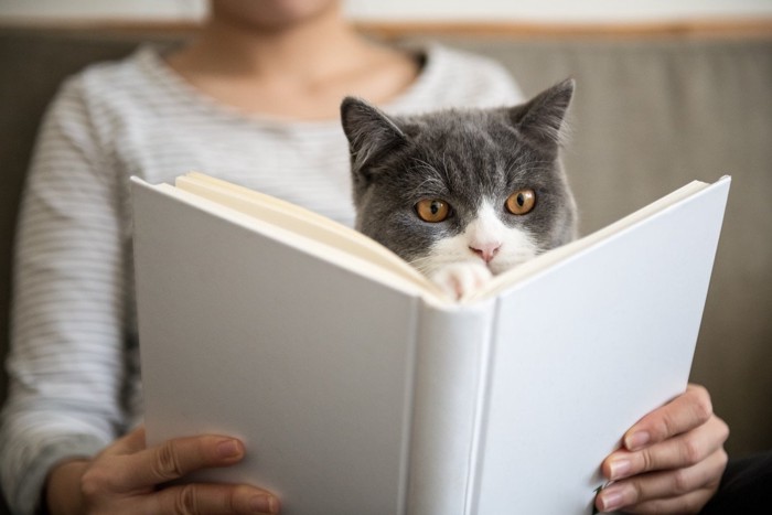本を見る人と猫