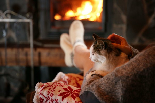 暖炉で暖まる人と猫