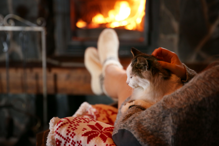 暖炉の前で撫でられる猫