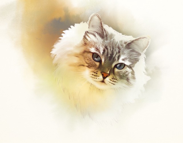 淡い色の猫のイラスト