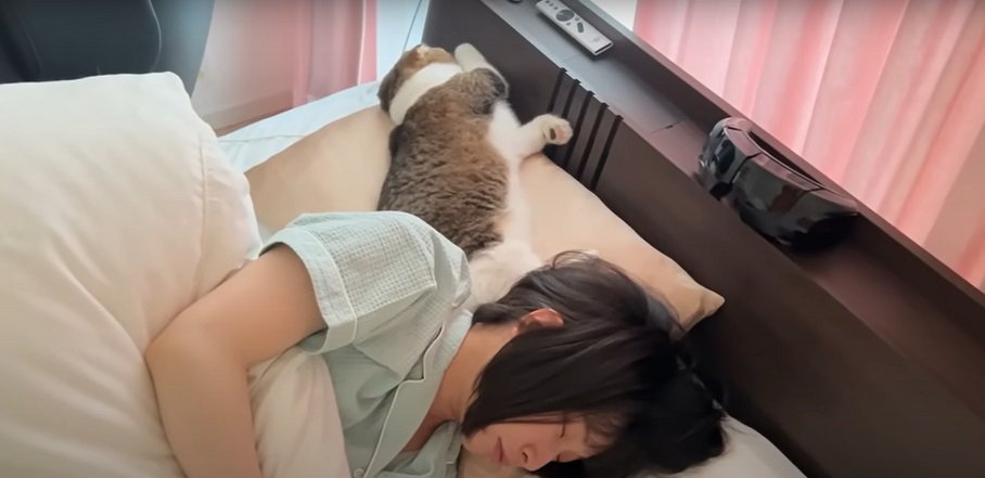 眠る女性と猫