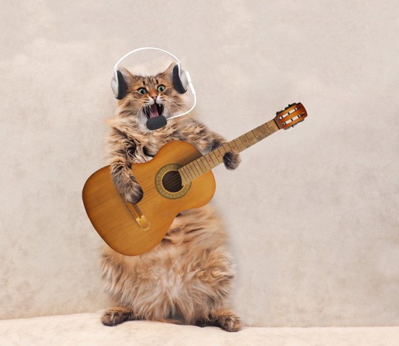 ギターを担いでイヤホンをする猫