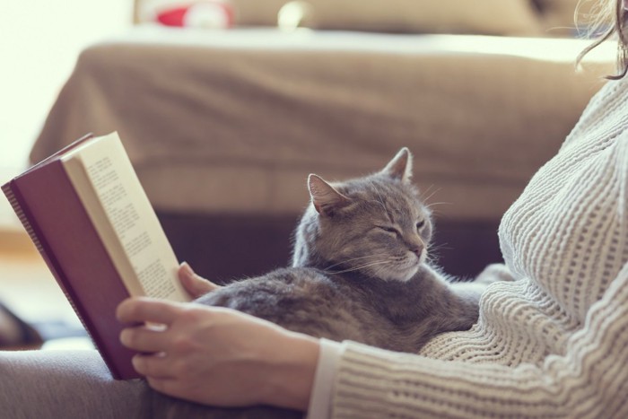 本を読む女性の膝の上でくつろぐ猫