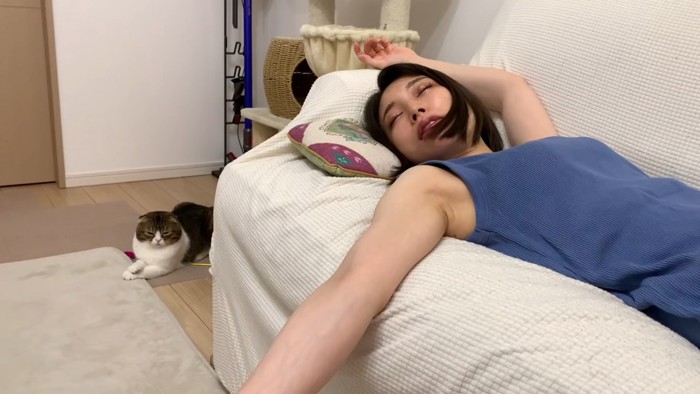 寝ている人と座る猫