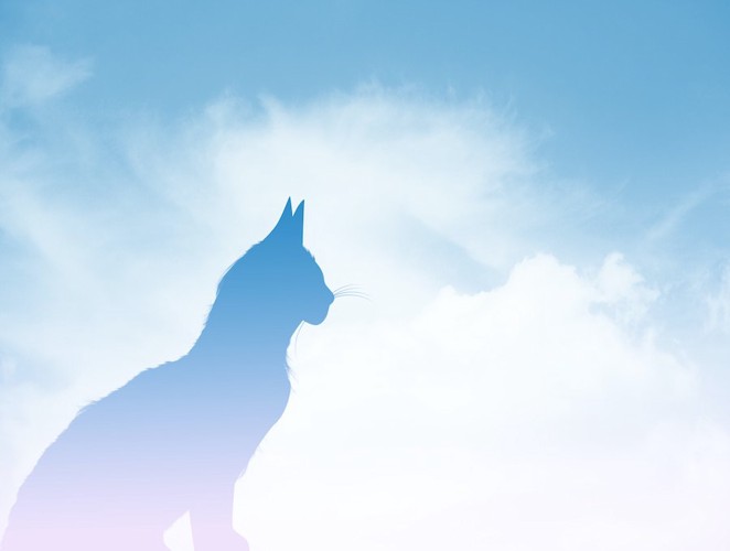 青空に浮かぶ猫のシルエット