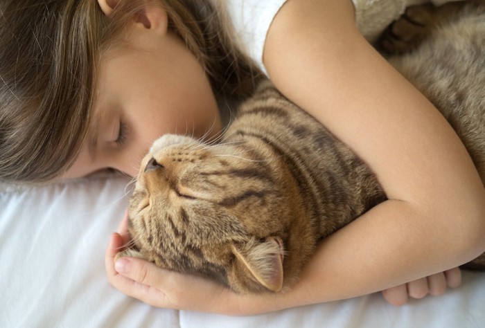 猫を抱きしめて一緒に眠る女の子