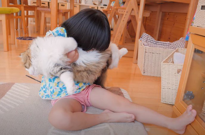 猫を抱きしめ顔を埋める少女