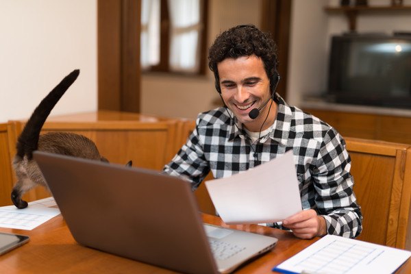 パソコンの前にいる男性と猫の尻尾