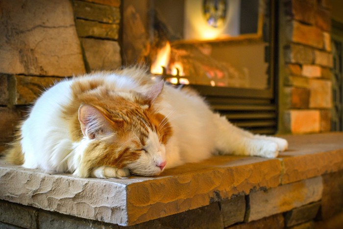 暖炉の近くでお尻を向けて眠っている猫