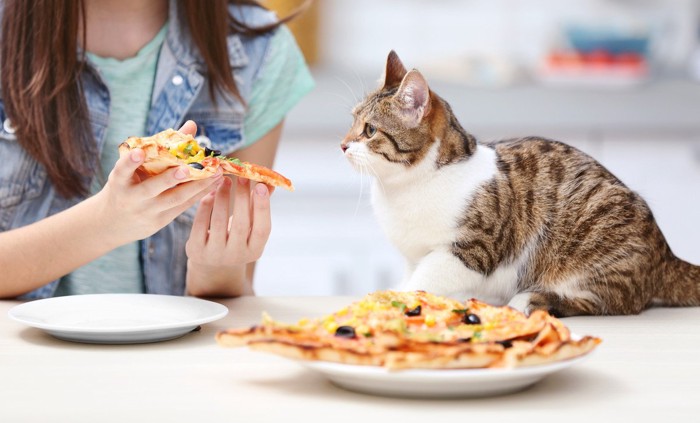 猫とピザを食べる女性