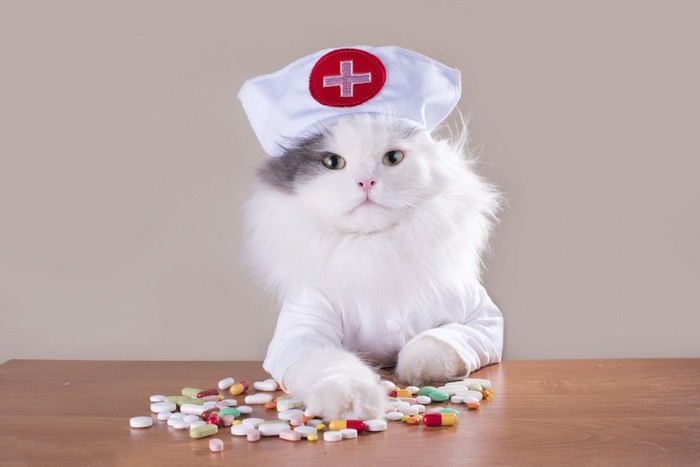 ナースの格好をしている猫と様々な薬