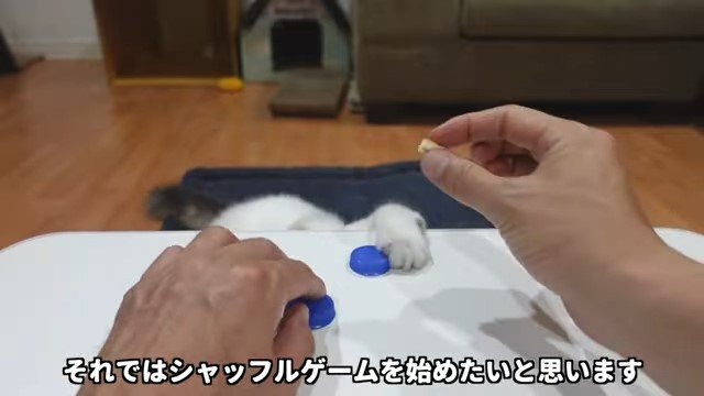 猫のおやつを持つ男性の手
