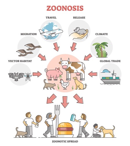人獣共通感染症の概要図