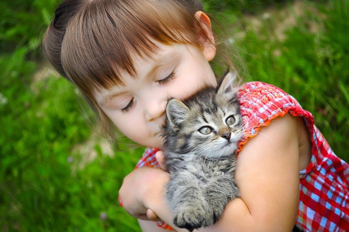 猫を抱っこしている女の子