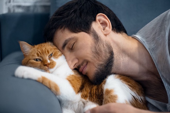 猫の身体に顔を押し付ける男性