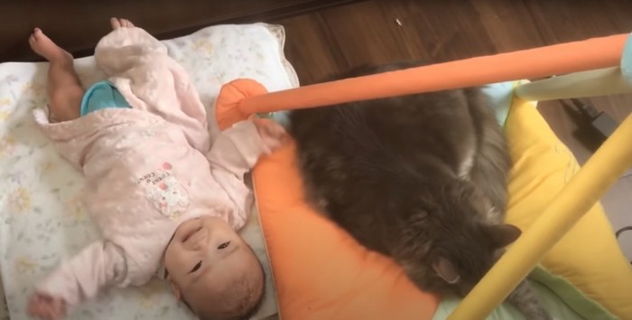 笑顔の赤ちゃんの隣で寝る猫