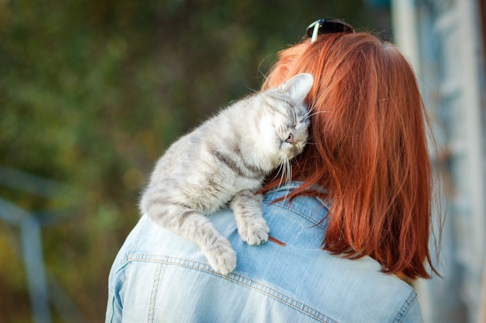女性の肩に乗り甘える猫