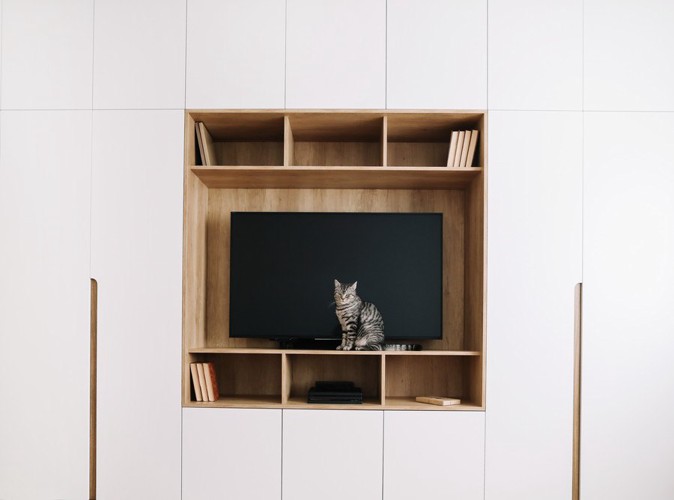 テレビの前に座る縞模様の猫
