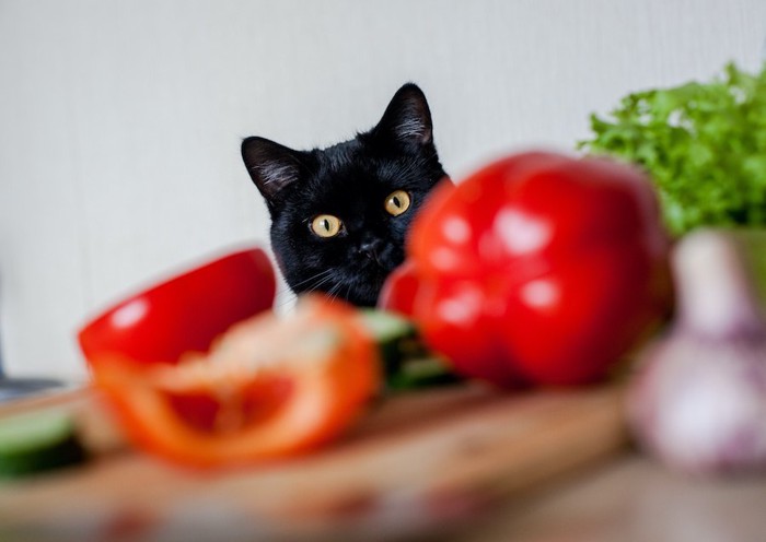 テーブルの上の野菜に興味を示す猫
