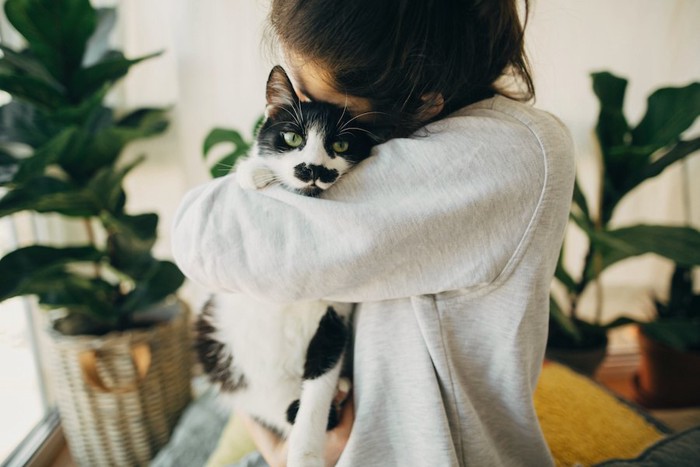 猫を抱きしめて顔を近づける女性