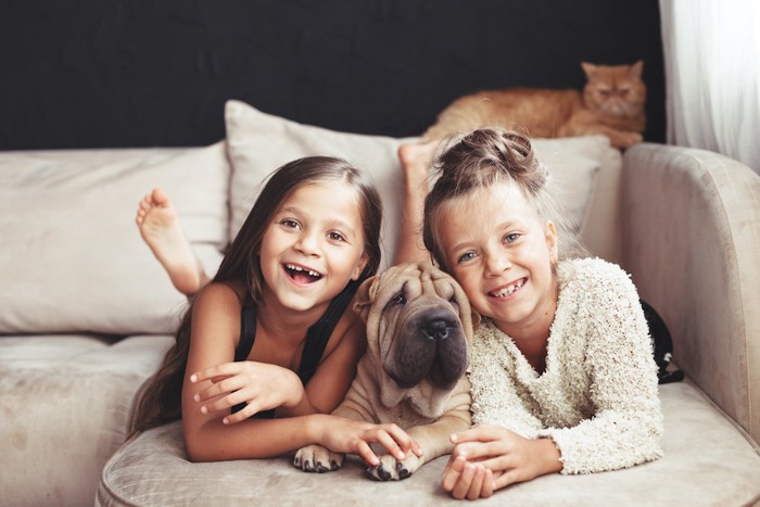 ソファーでくつろぐ二人の少女と犬と猫