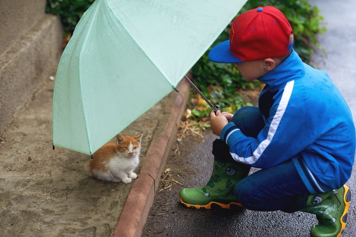 子猫に傘をさす男の子の写真