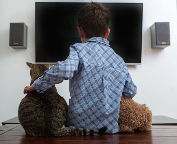 一緒にテレビを見る男の子と猫の後ろ姿