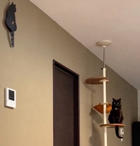 壁掛け時計と猫さん