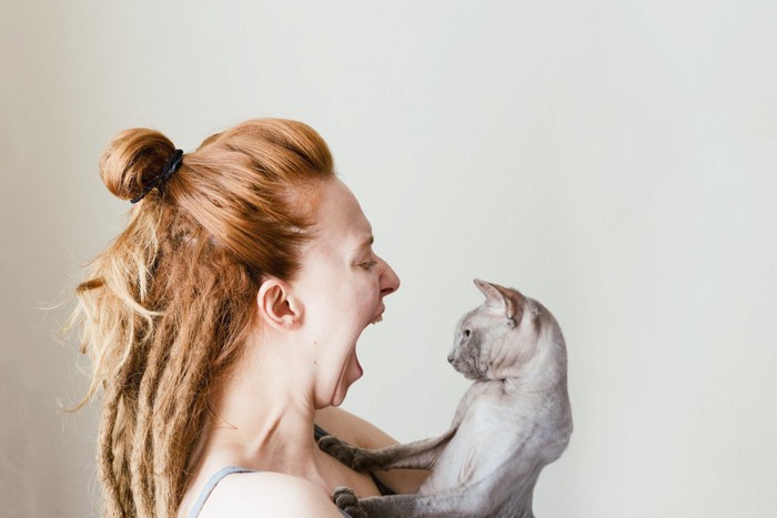 叫ぶ女性に抱かれて驚く猫
