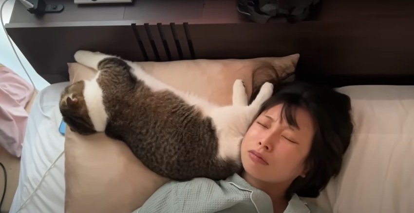 枕の上の猫と女性2％寝返りを妨害され怪訝そうな表情のママさん