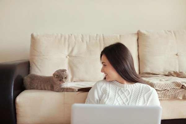 パソコンを見る女性の隣に猫