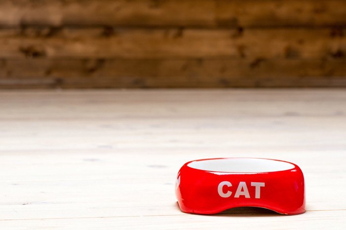 床の上に置かれた赤い猫用食器