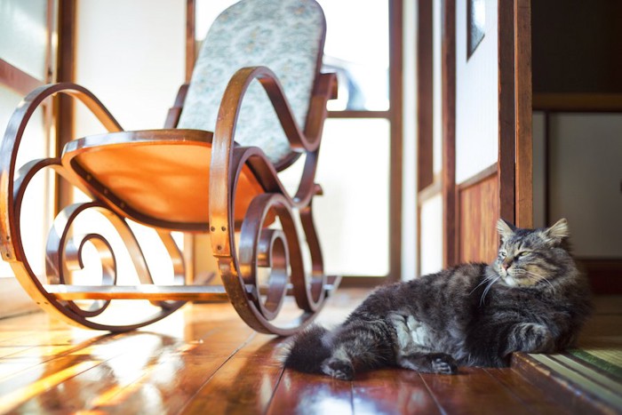 籐椅子の横にいる猫