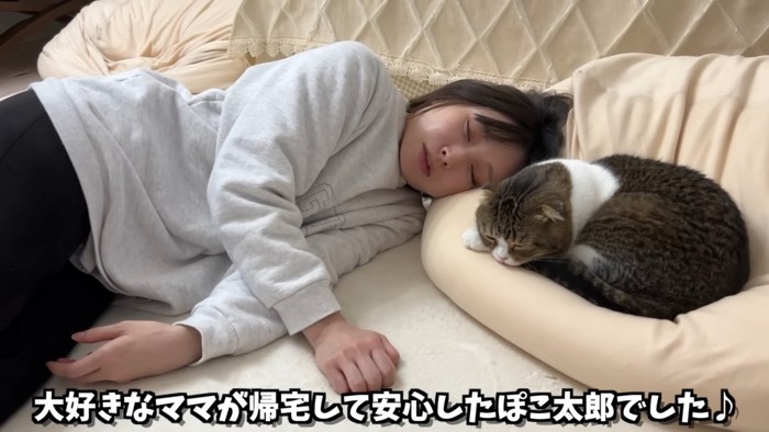 寝ている人と猫