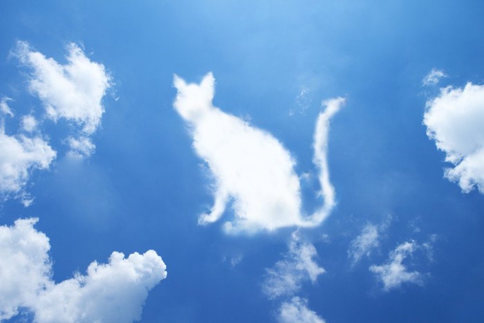猫の形の雲