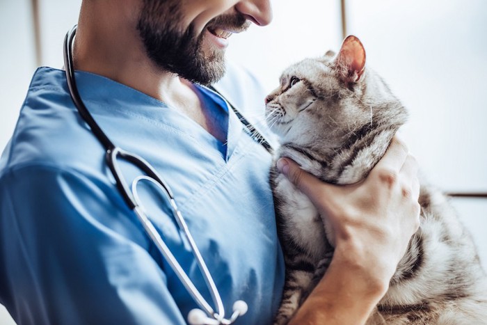 笑顔の獣医師に抱っこされている猫