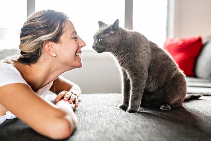 女性と見つめ合う猫