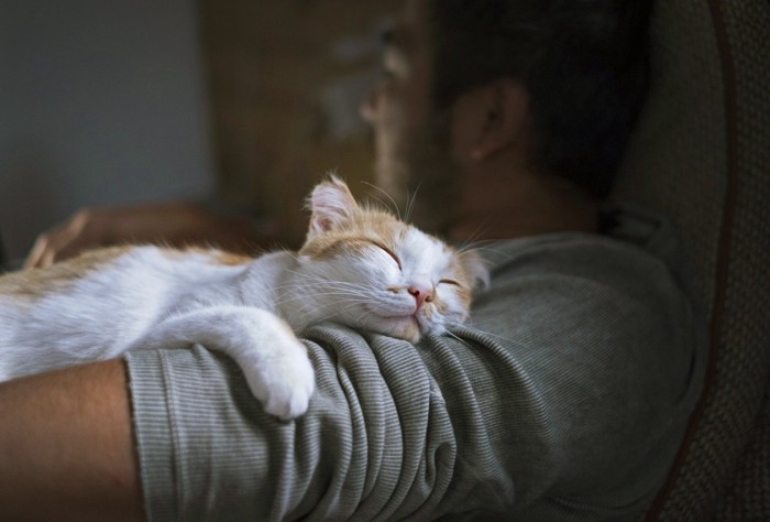 男性の腕で寝ている猫