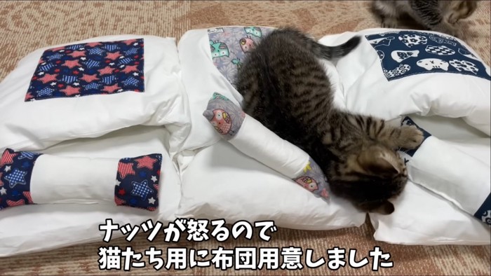 猫用の布団
