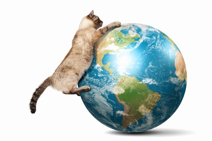 地球と猫