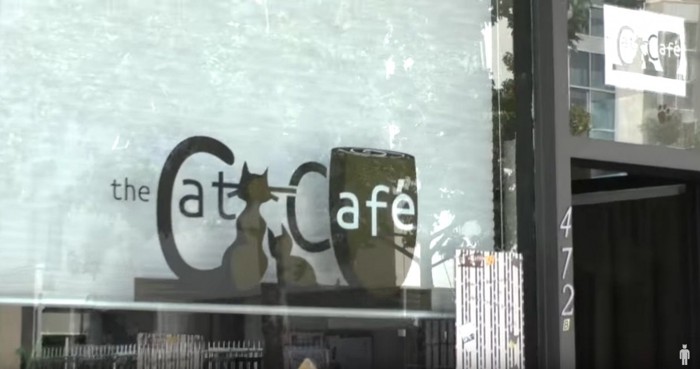 猫カフェの看板