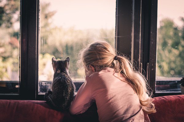 窓辺の猫と女の子