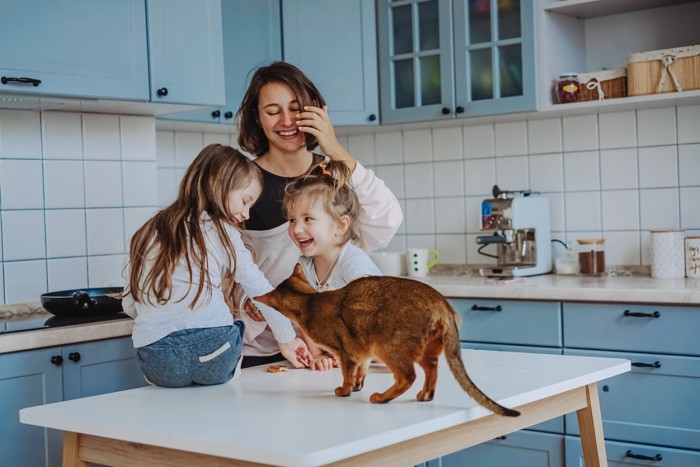 家族と共に台所にいる猫