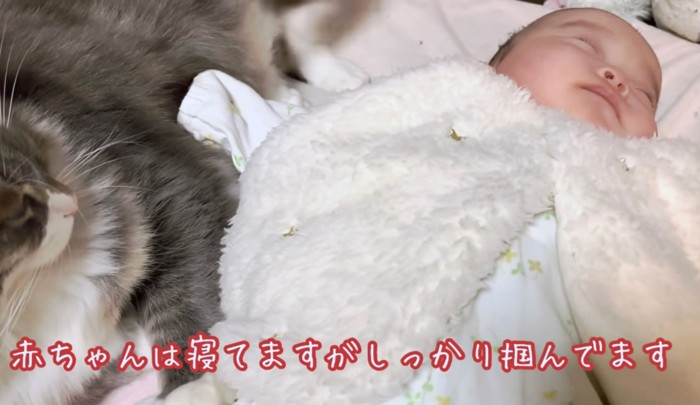 蒼くんの毛を掴んだまま眠る赤ちゃん