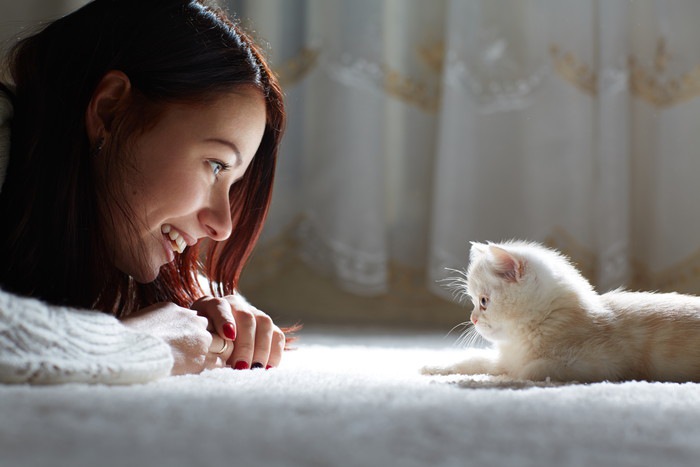 女性と白い子猫